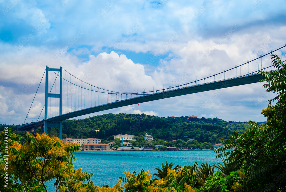 Fototapeta premium Bosphorus bridge in the spring
