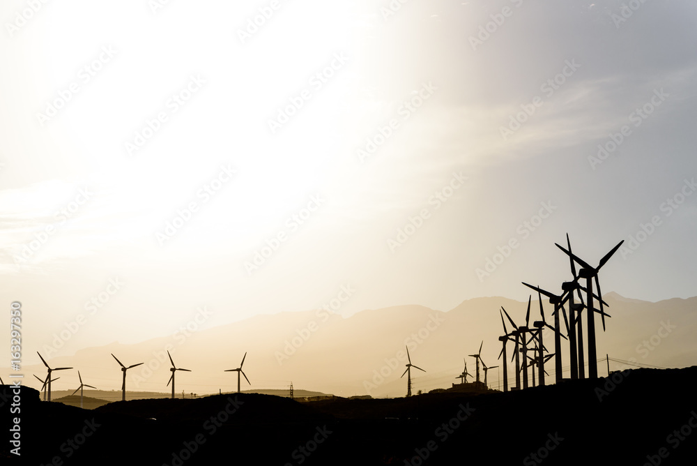 Obraz premium Wind farm at sunset. High contrast backlight with warm white balance. Poris de Abona, Tenerife. Canary Islands. 
