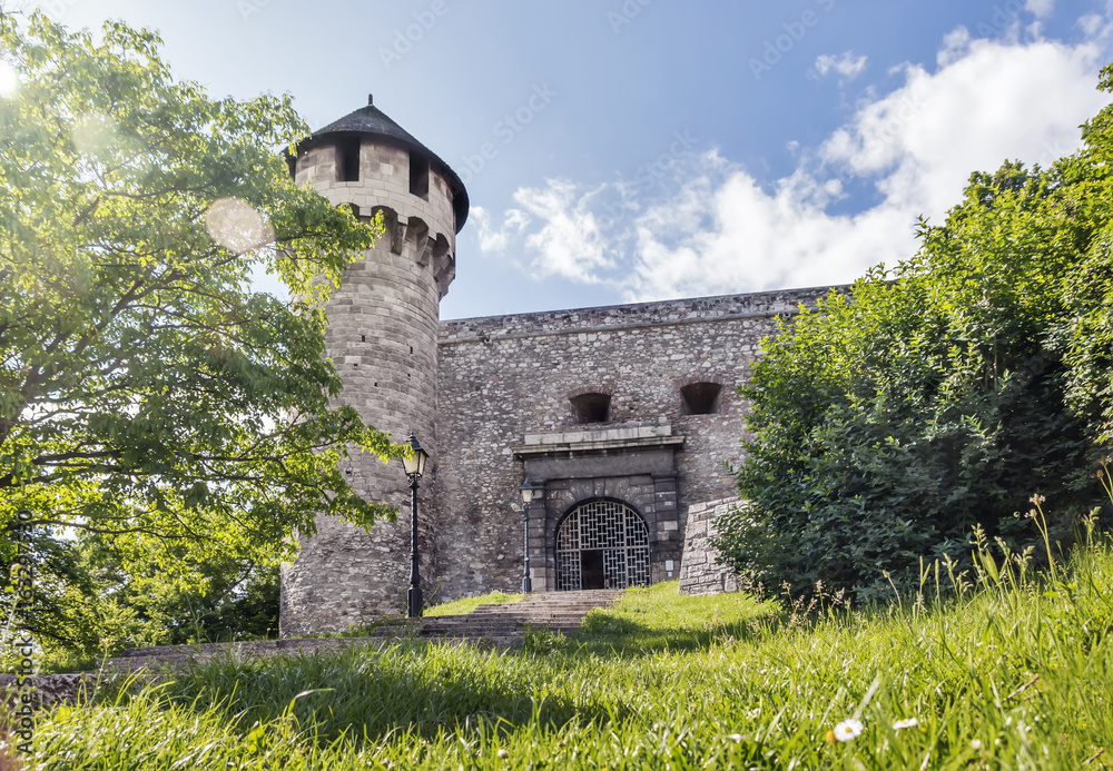 Middle age fortress and tower at green rural landscape