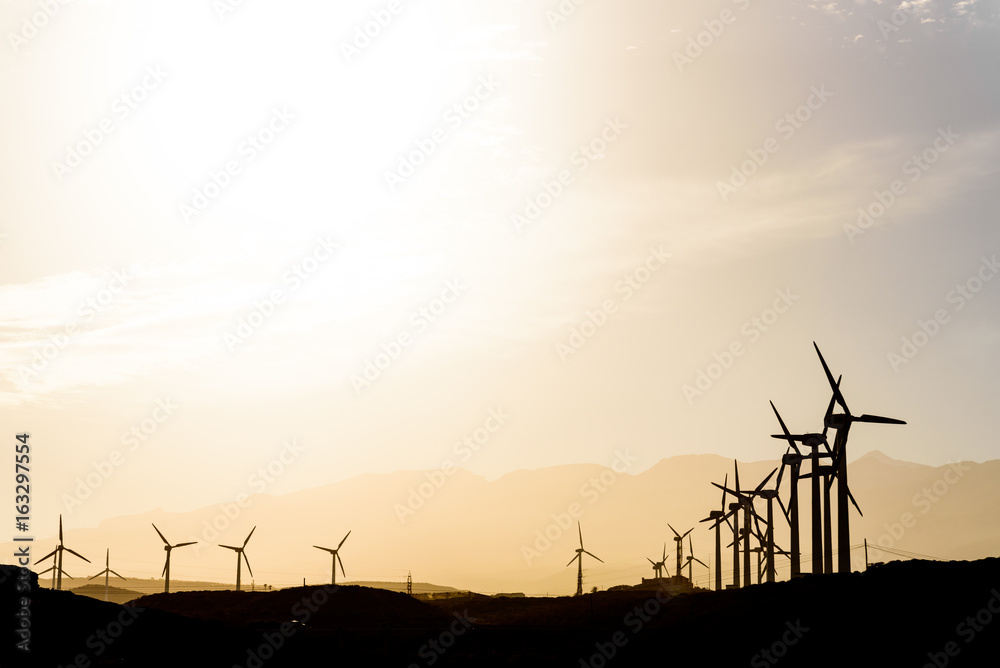 Obraz premium Wind farm at sunset. High contrast backlight with warm white balance. Poris de Abona, Tenerife. Canary Islands. 