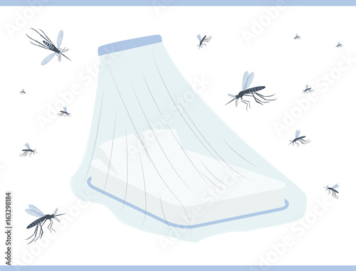 Mosquito net for bed. Zika virus prevention