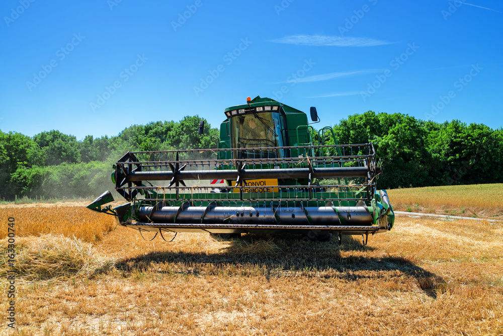 Fototapeta premium moissonneuse en action