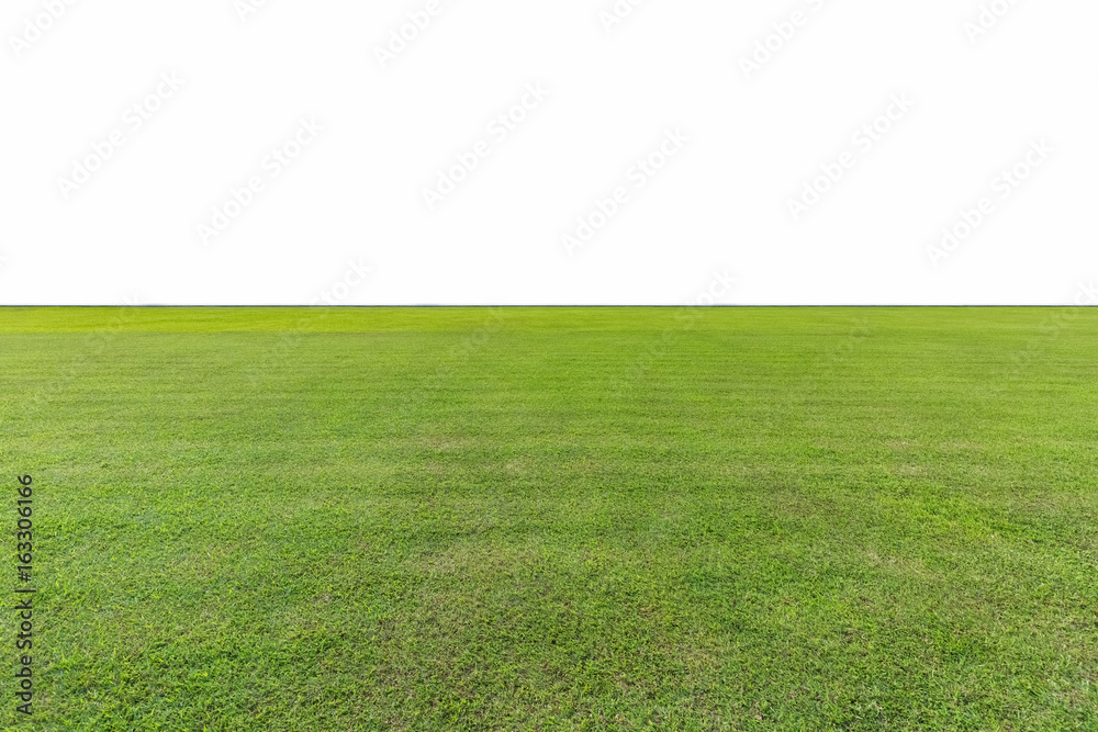 Fototapeta premium green lawn isolated