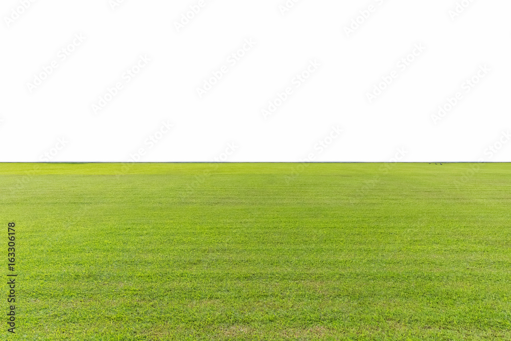green lawn isolated