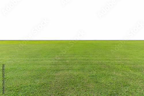 green lawn isolated photo