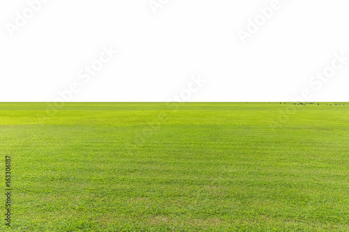 green lawn isolated
