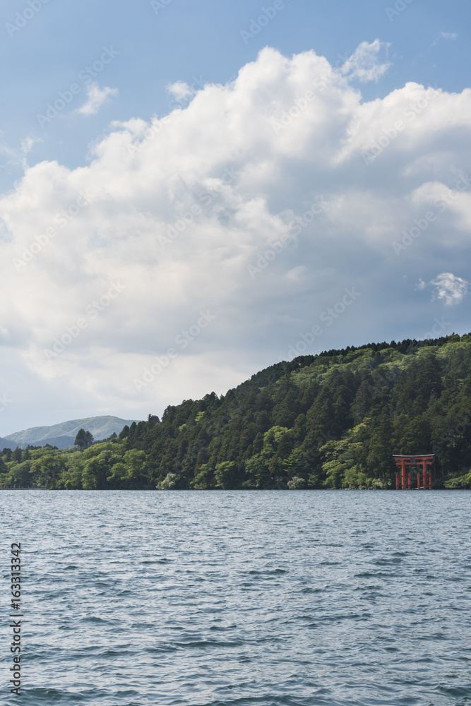 Obraz premium Fresh green and Hakone shrine red torii gate from Lake Ashi in Hakone, Kanagawa Prefecture, Japan