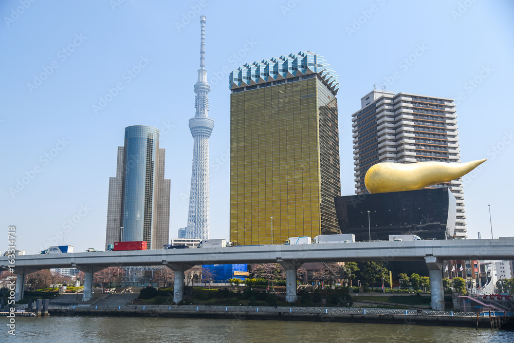Fototapeta premium Skyline building and Tokyo sky tree tower, famous landmark near Sumida river, view from Asakusa district in Tokyo, Japan