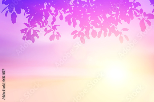 Pastel gradient blurred sky,sunset background with silhouette leaves foreground on soft focus sunshine bright peaceful morning summer. Rays light clean beach outdoor with abstract leaf bokeh smooth. © apichart