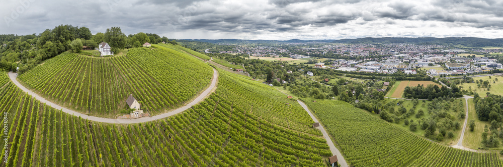 Luftaufnahme von Weinberg am Holzberg bei Schorndor, Remstal, Baden Württemberg, Deutschland