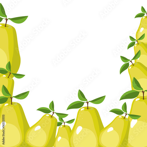 white background with border of pears fruits vector illustration