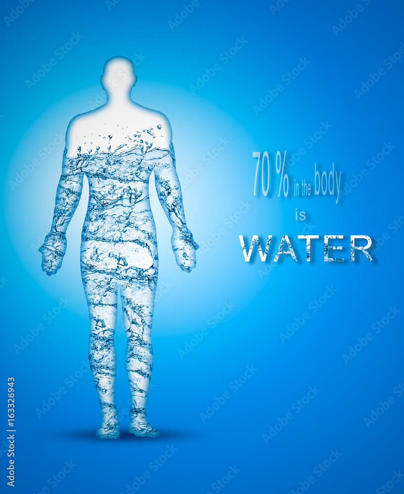 70 percent of a human body is water Stock Illustration Adobe Stock