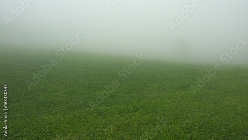 濃霧の高原