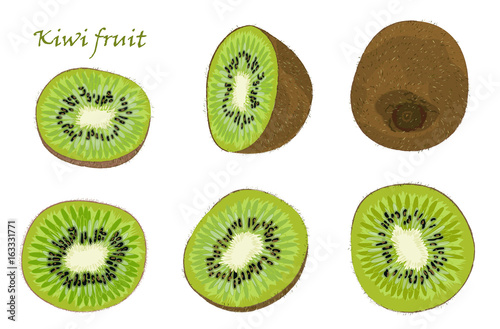 Set of hand-drawn kiwi fruit, single, peeled and sliced fruits. realistic drawing, isolated on white background