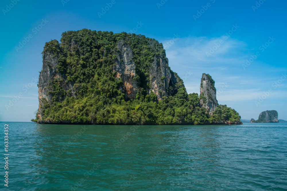 Obraz premium Thailand wild