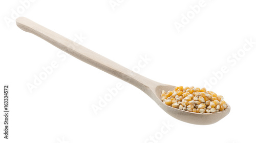 Shovel Full of Dried Corn