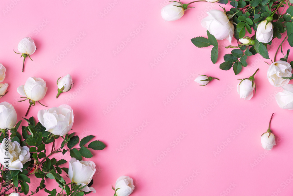 White wild roses and buds on a pastel pink background. Top view, flat lay, space for text.