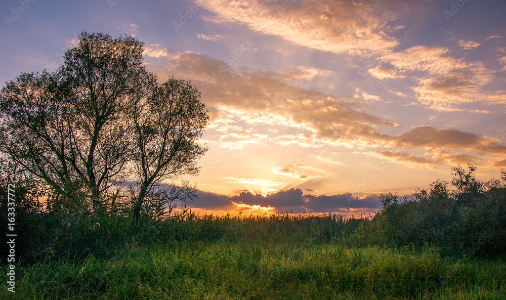 Fototapeta premium Landscape sunset summer nature