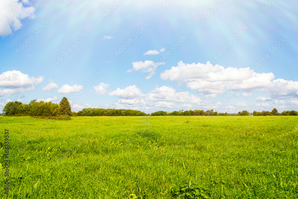 Fototapeta premium Green field, blue sky, bright clouds and sun