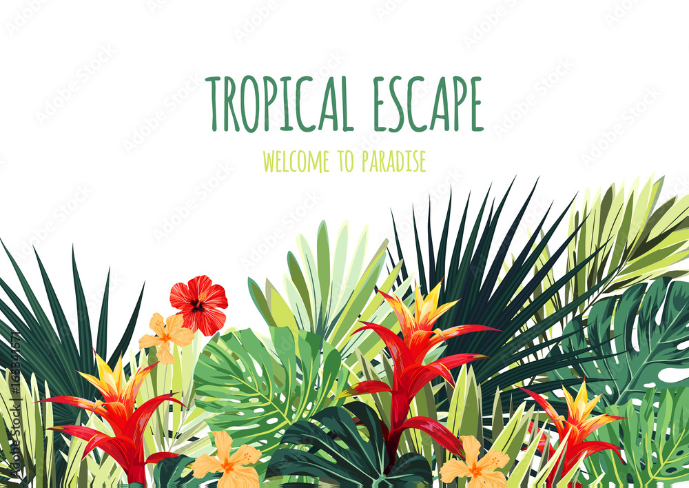 Obraz premium Floral horizontal postcard design with guzmania and hibiscus flowers, monstera and royal palm leaves. Exotic hawaiian vector background.