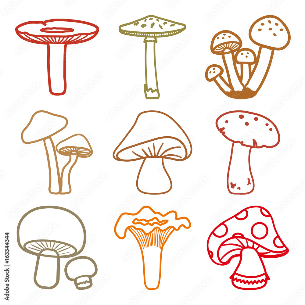 Colorful mushrooms set. Outline design. Different cartoon mushrooms. Vector  illustration. Stock Vector | Adobe Stock