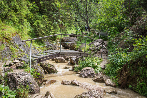 Homole Gorge in Pieniny National Park . Poland photo