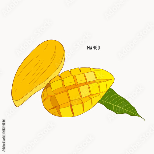 mango Hand drawn. Vintage style