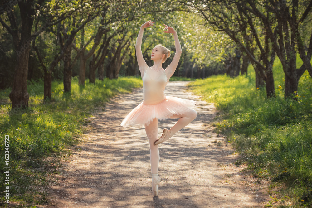 Naklejka premium Young ballet dancer showing classic ballet poses outdoors at sunset