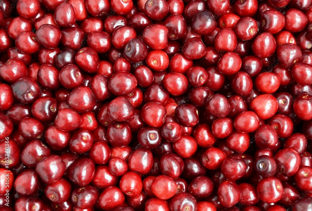 Berries of ripe cherries, prepared for processing. Background Berries of ripe cherries, prepared for processing. Background