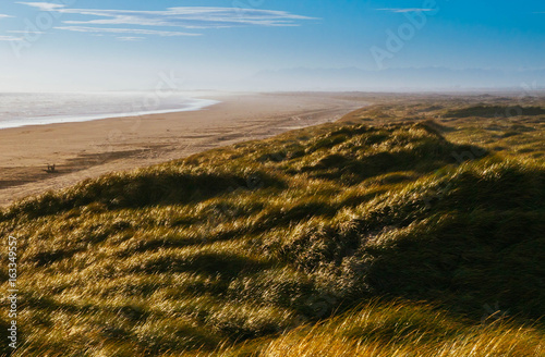 Oreti Beach Dunes, New Zealand photo