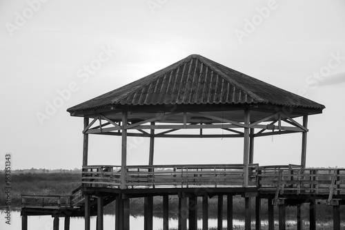 Black and White or bw photo image of pavilion in lake or swamp