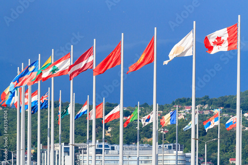 Flags of the world