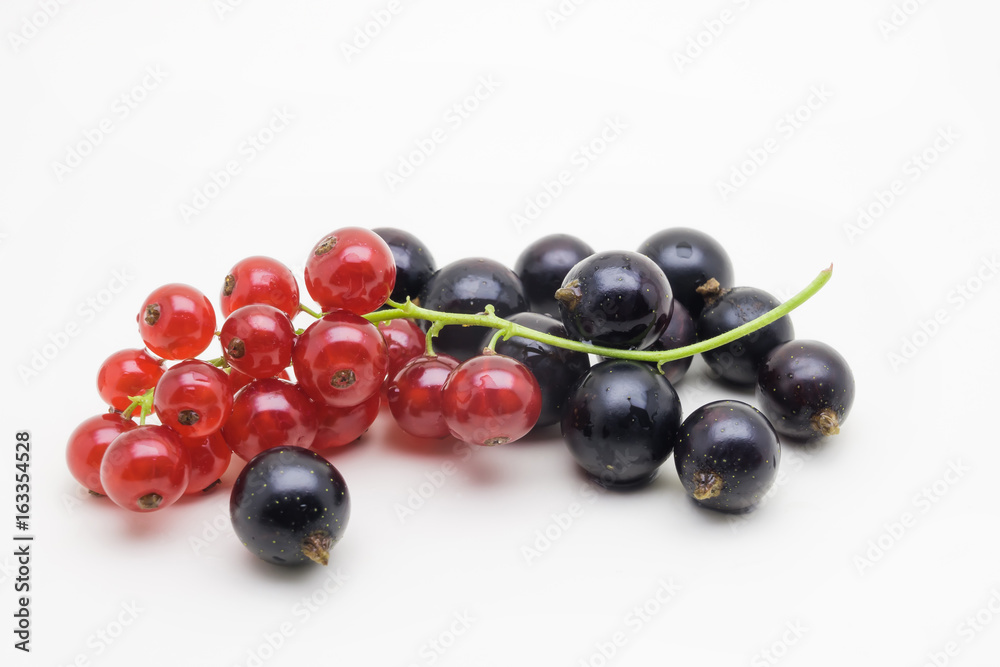 Red currant branch and black currant isolated on white background Red currant branch and black currant isolated on white background