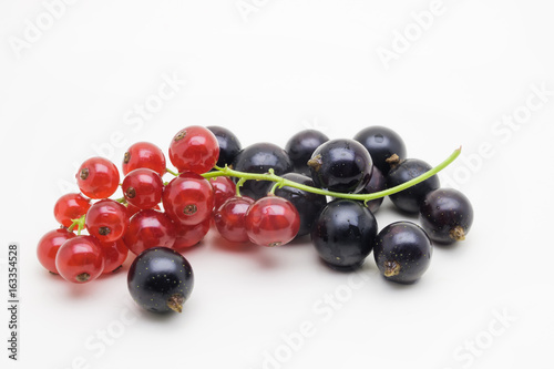 Red currant branch and black currant isolated on white background