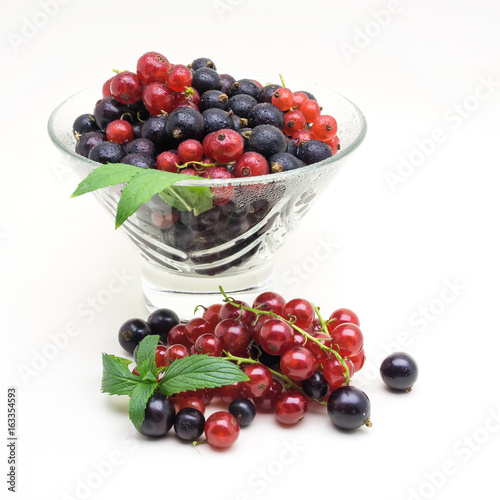 Glass vase with black and red currant on white background