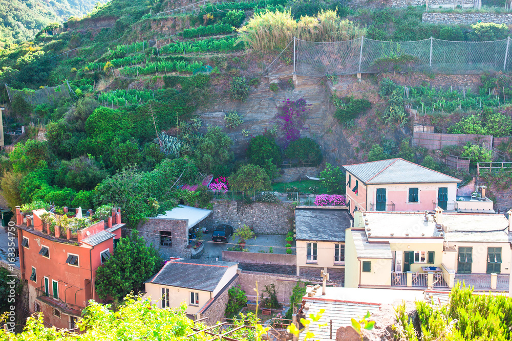 Fototapeta premium View on architecture of old italian village. Riomaggiore is one of the most popular old village in Cinque Terre, taly