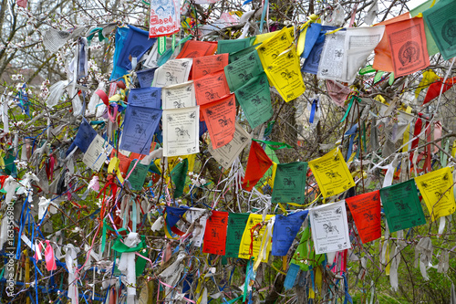 ELISTA, RUSSIA. Hiymorin, color Buddhist checkboxes with a prayer are hung out on a tree