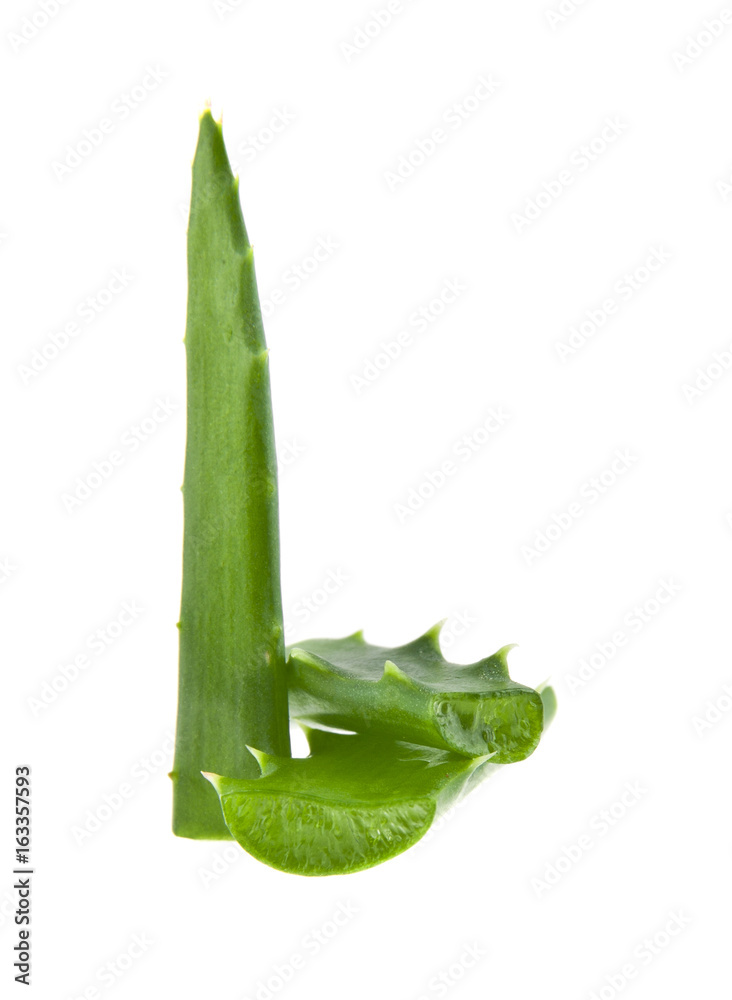 Aloe isolated on white background closeup Aloe isolated on white background closeup