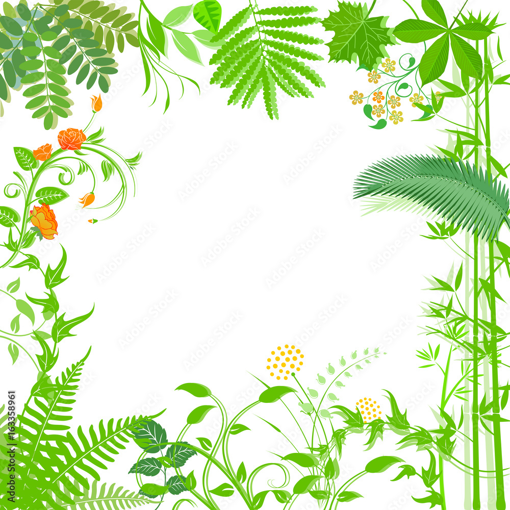 Fototapeta premium Tło z zielonymi roślinami i kwiatami