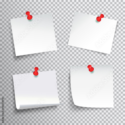 Pinned Paper Set