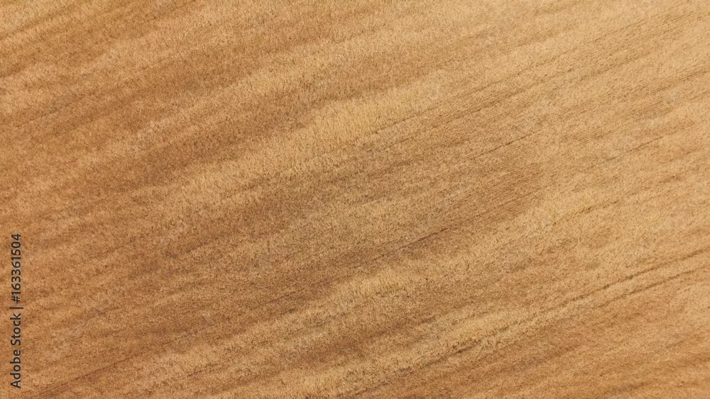 Yellow wheat fields, aerial video / Flying over yellow wheat fields, aerial video