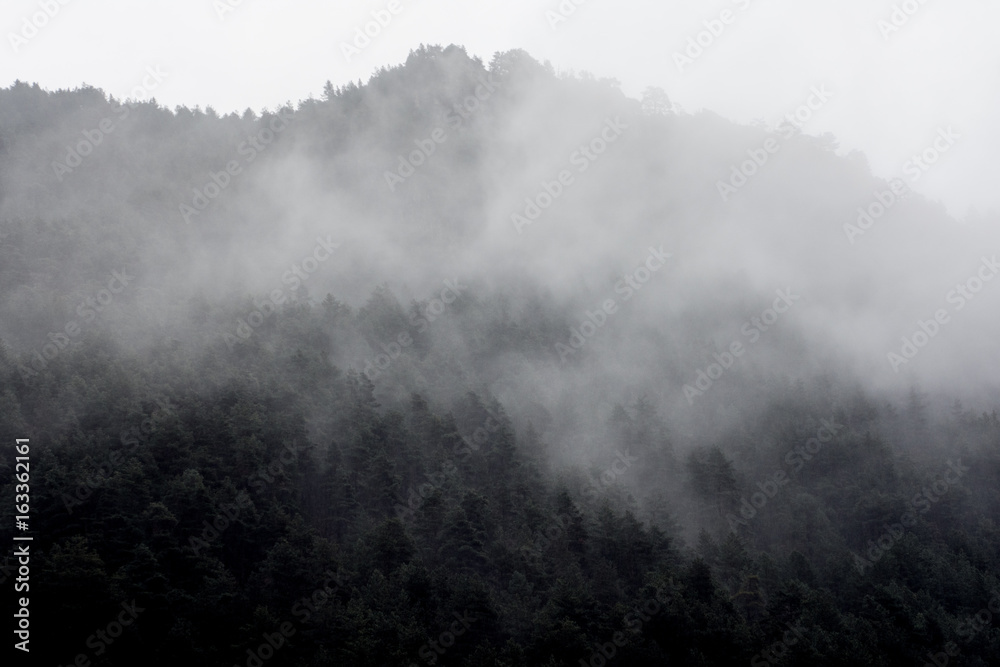 foggy landscape in andorra