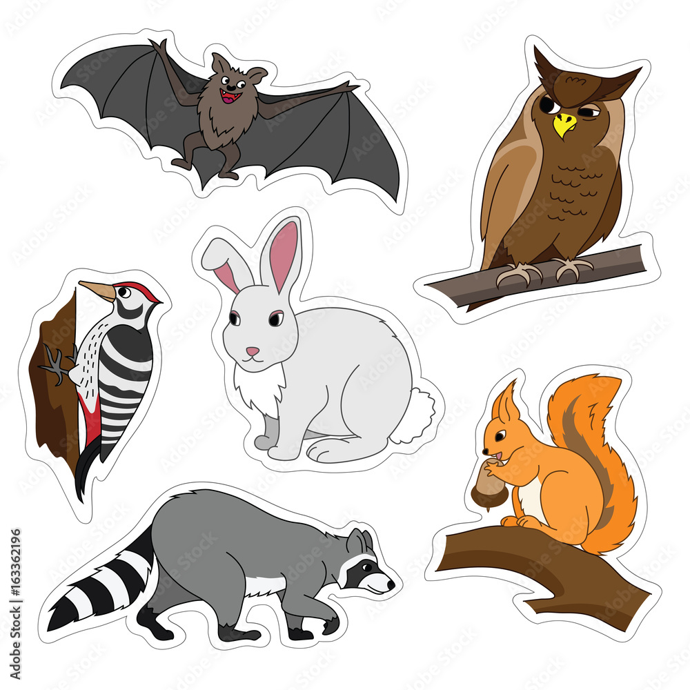 Set of various cute animals, forest animals. Woodpecker on a branch, owl, bat, Bunny, squirrel, raccoon