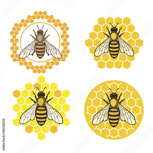 Honey bee set. Honey bee set. Vector. Set of honey and bee labels for honey logo products. Isolated insect icon. Flying bee. Flat style vector illustration.