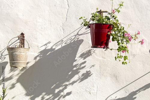 Fototapeta Naklejka Na Ścianę i Meble -  Shadow of a pot with Geranium