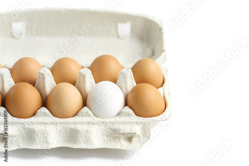 Eggs in cardboard package on white background, mockup, copy space. Be different concept. Close up