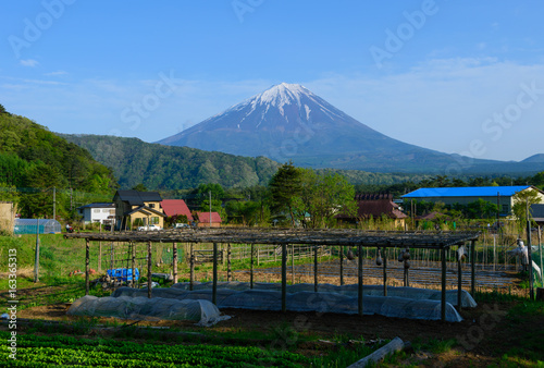 富士山と農地
