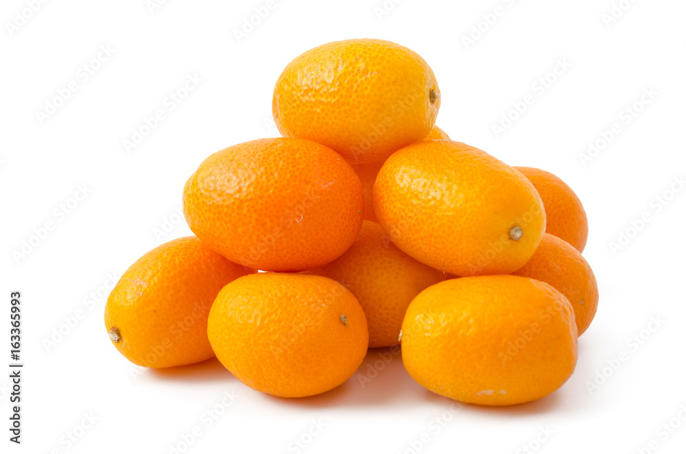 Kumquat Kumquat