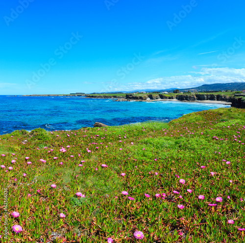 Atlantic blossoming coastline (Spain).