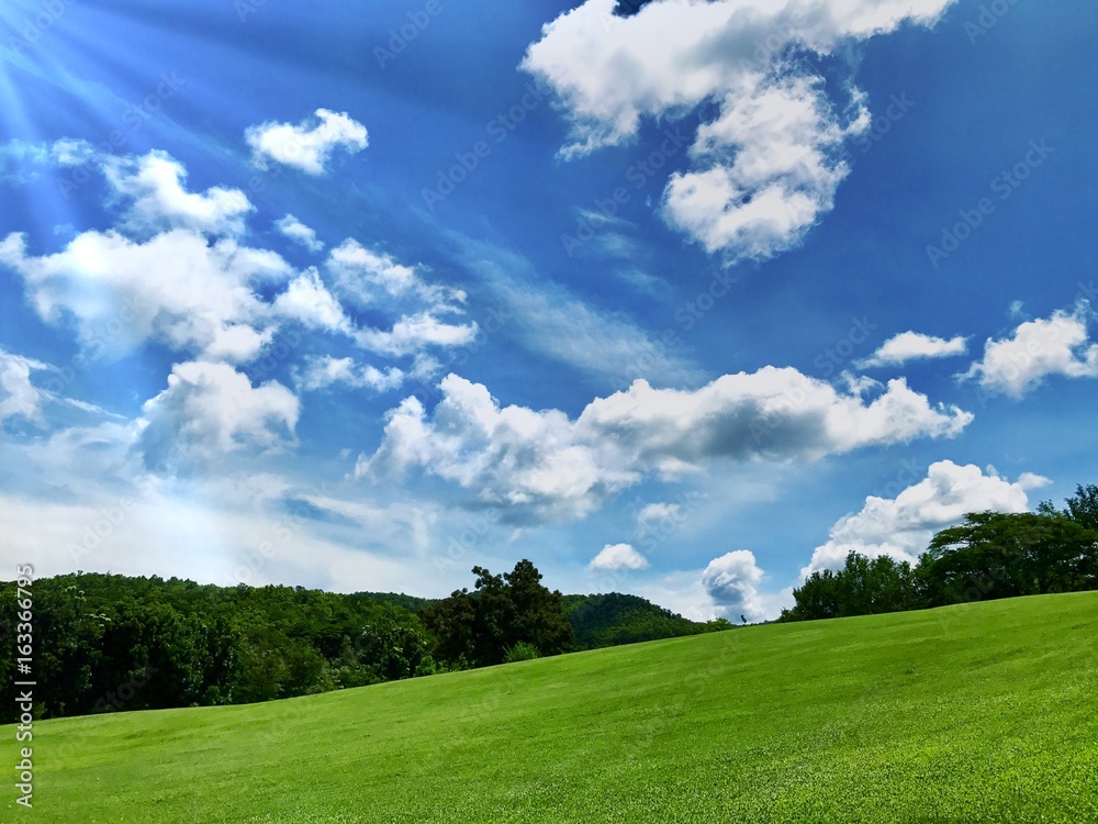 Naklejka premium Green lawn on little hill with blue sky and cloud on sunny day,mobile phone photography